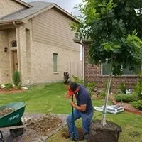 Local lawn care service in Fort Worth, TX - AAA Integrity Lawn Care