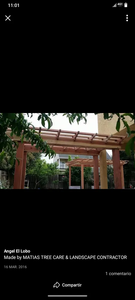 Affordable landscaping services experts serving Rancho Cordova, CA - AAA Irrigation & Landscape