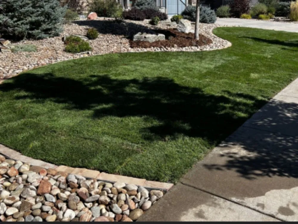 Expert landscape design in Rancho Cordova, CA - AAA Irrigation & Landscape