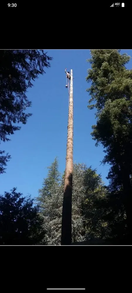 Affordable garden landscaping for year-round maintenance across Rancho Cordova, CA - AAA Irrigation & Landscape