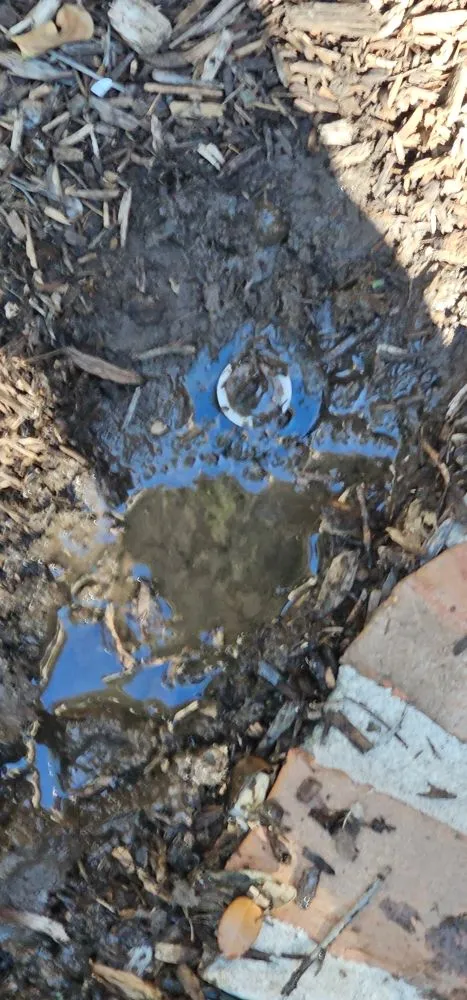 Professional landscape installation in Allen, TX by AAA Irrigation Service