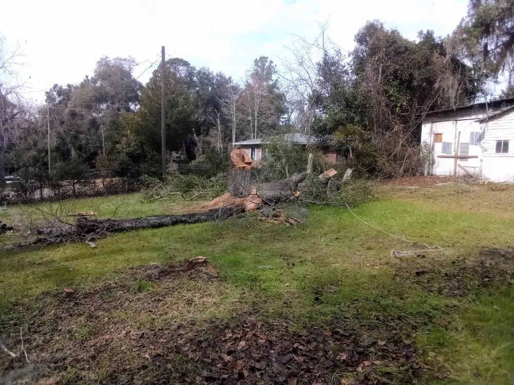 Reliable lawn care service experts serving Madison, FL - Aaa Knock Out Tree Service