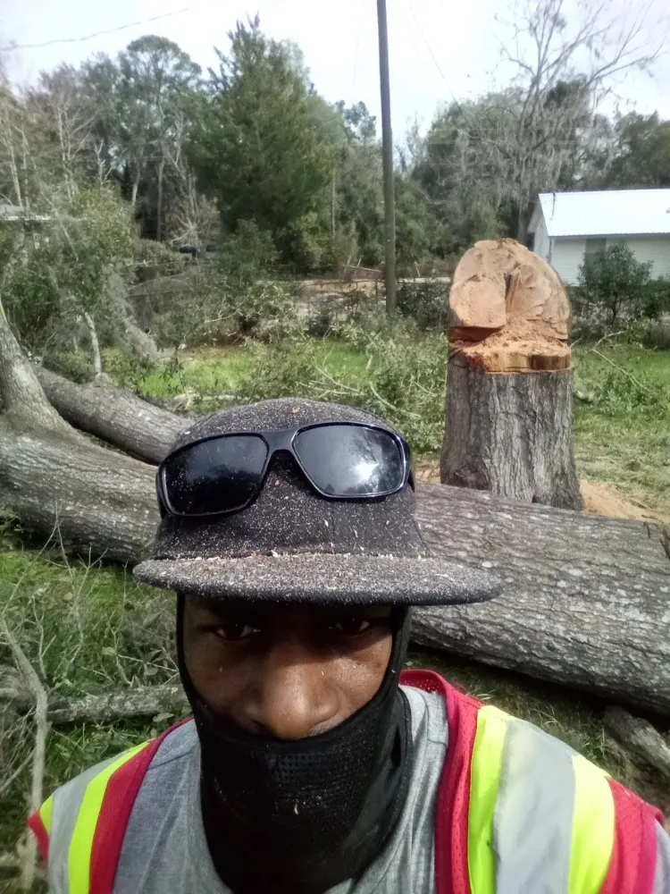 Expert lawn mowing service for residential properties in Madison, FL by Aaa Knock Out Tree Service