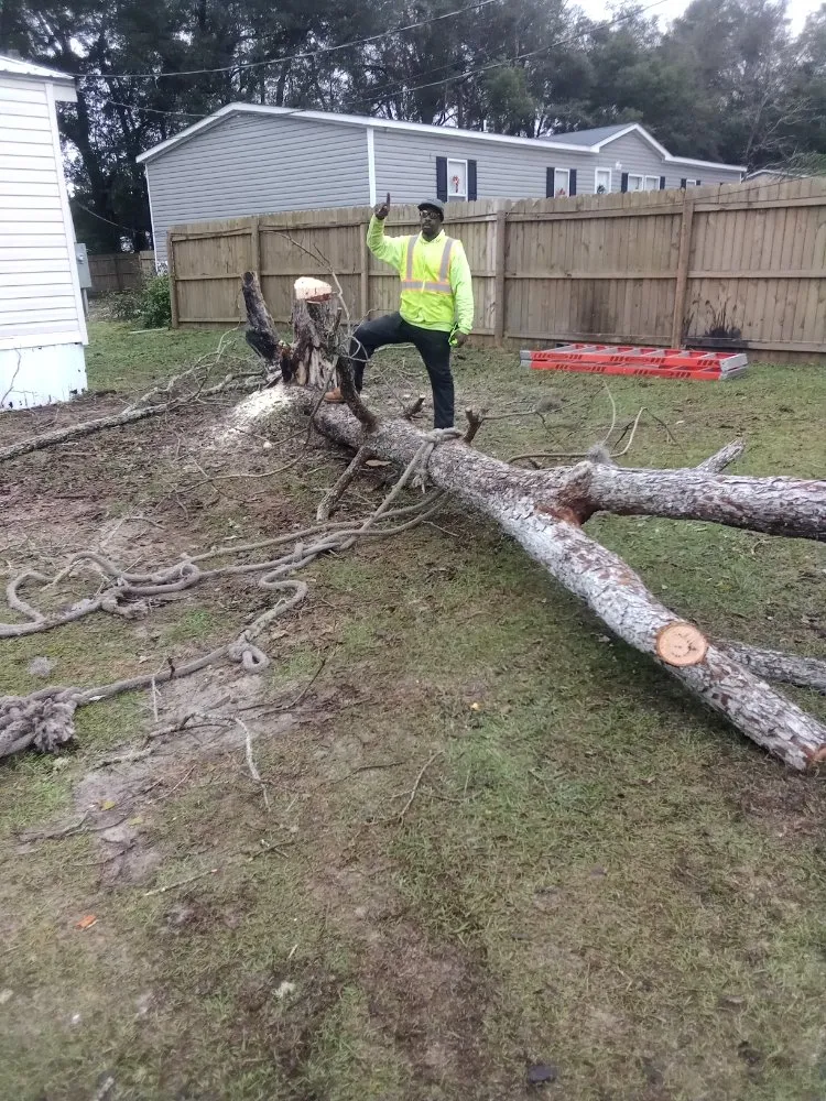 Reliable lawn mowing service in Madison, FL by Aaa Knock Out Tree Service