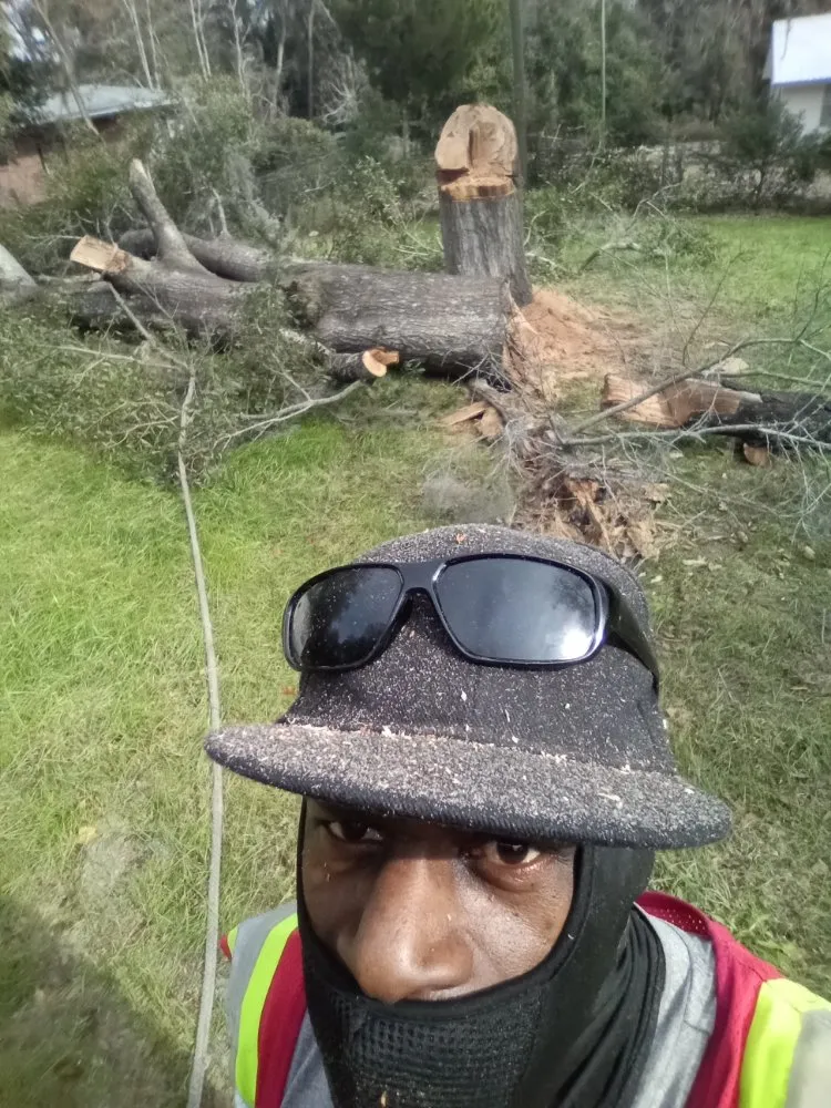 Expert yard maintenance for beautiful yards across Madison, FL - Aaa Knock Out Tree Service