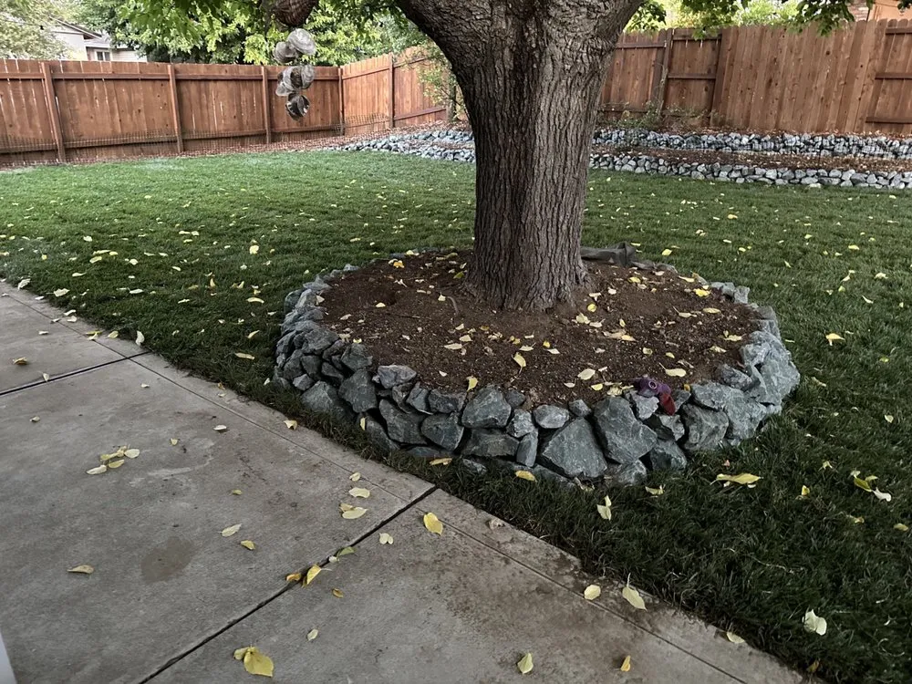 Trusted yard maintenance experts serving Rancho Cordova, CA - AAA Landscape & Tree Care