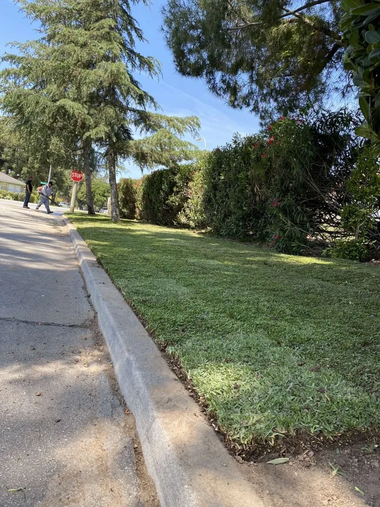 Expert yard cleanup service experts serving Altadena, CA - AAA Landscape