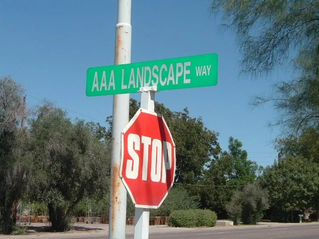 Professional lawn care service in Phoenix, AZ by AAA Landscape
