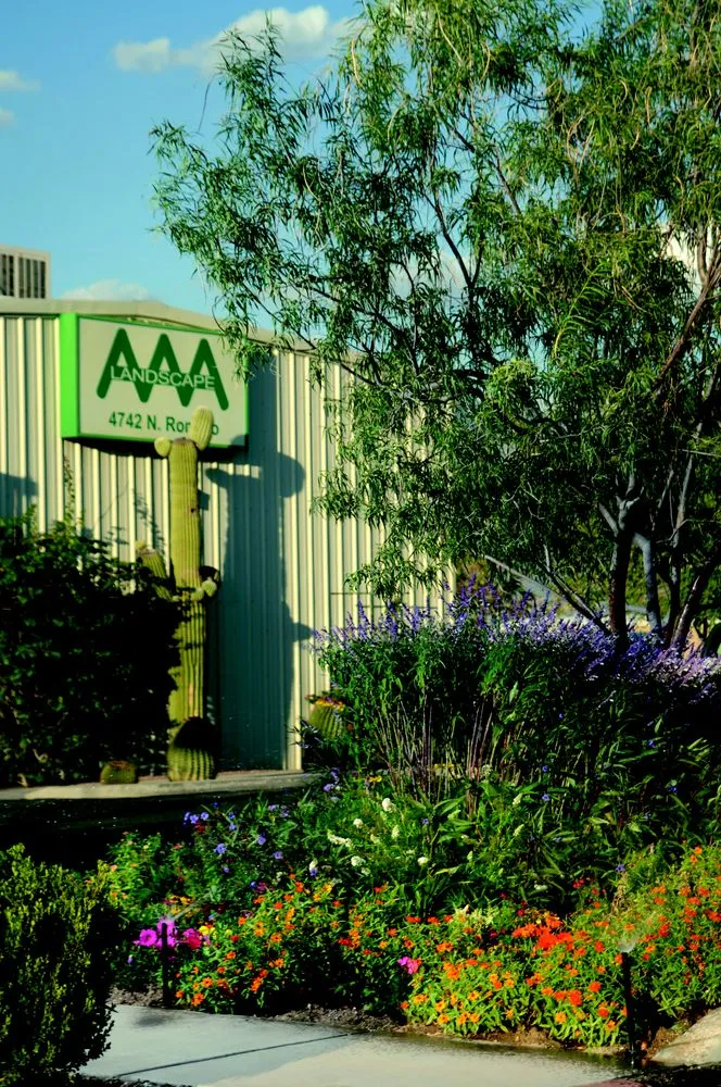 Trusted lawn mowing service experts serving Tucson, AZ - AAA Landscape