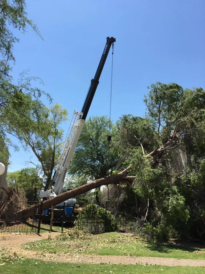 Trusted residential landscaping for outdoor upgrades in Tucson, AZ by AAA Landscape