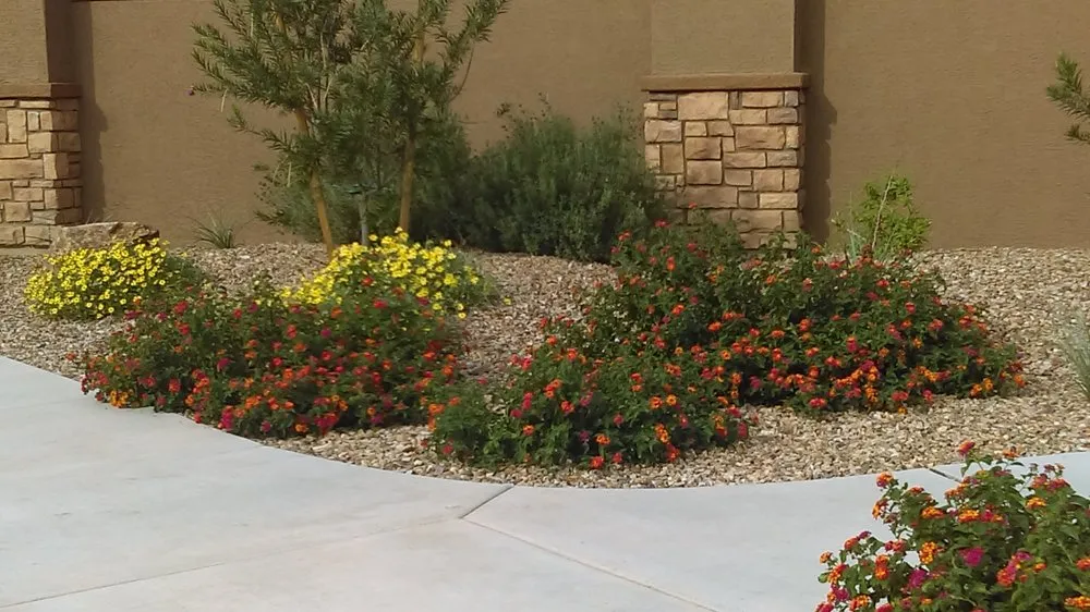 Affordable lawn mowing service near you across Tucson, AZ - AAA Landscape