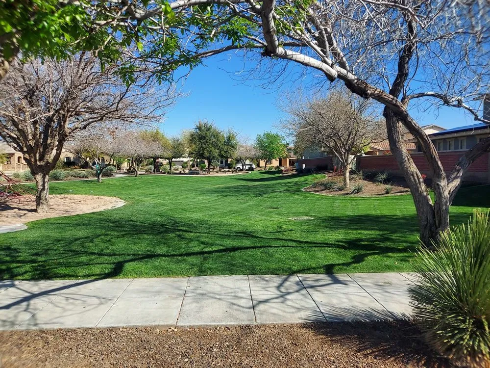Custom landscape design in Tucson, AZ - AAA Landscape