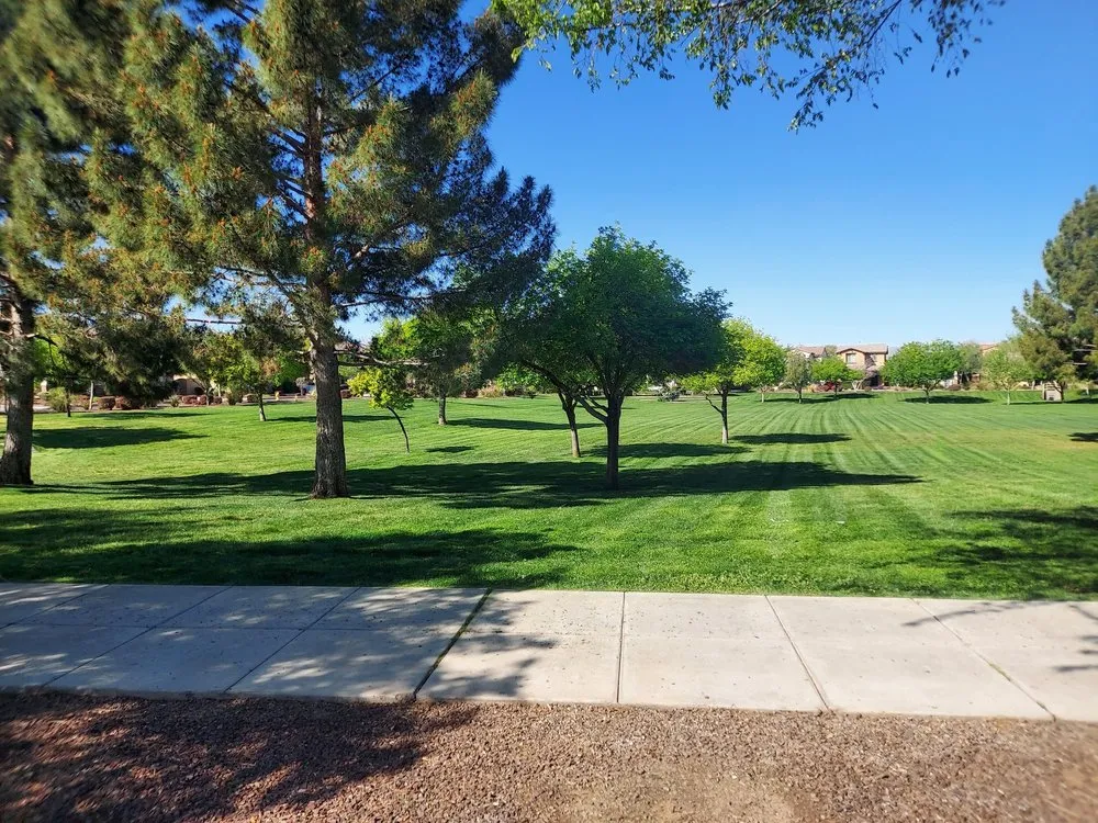 Custom outdoor landscaping in Tucson, AZ - AAA Landscape