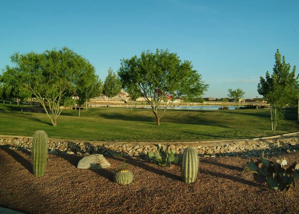 Custom yard cleanup service in Tucson, AZ - AAA Landscape