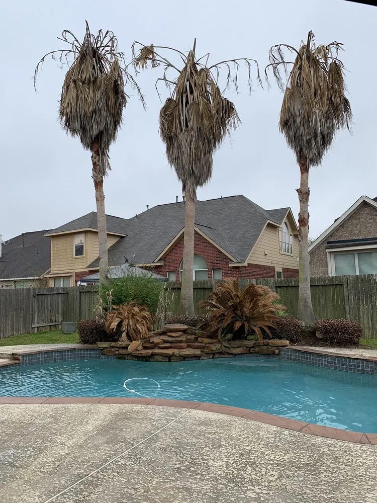 Trusted landscape installation in Katy, TX - AAA Landscaping & Tree Services