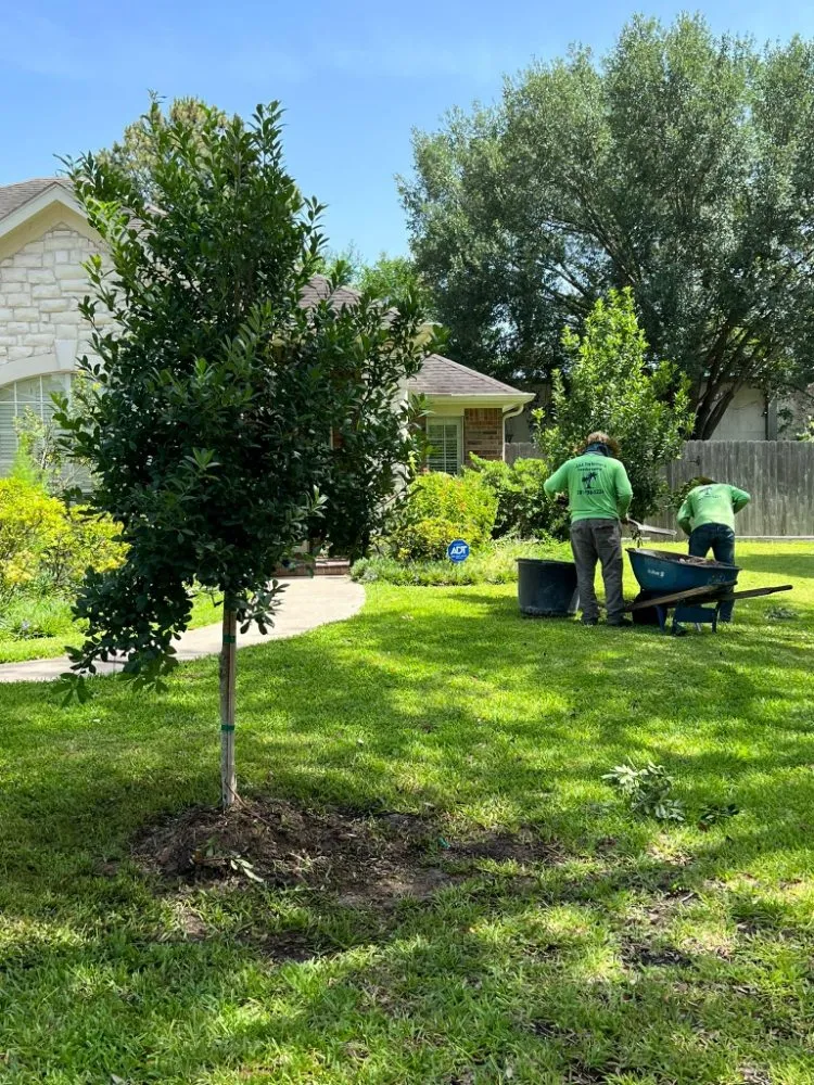 Top-rated landscape installation experts serving Katy, TX - AAA Landscaping & Tree Services