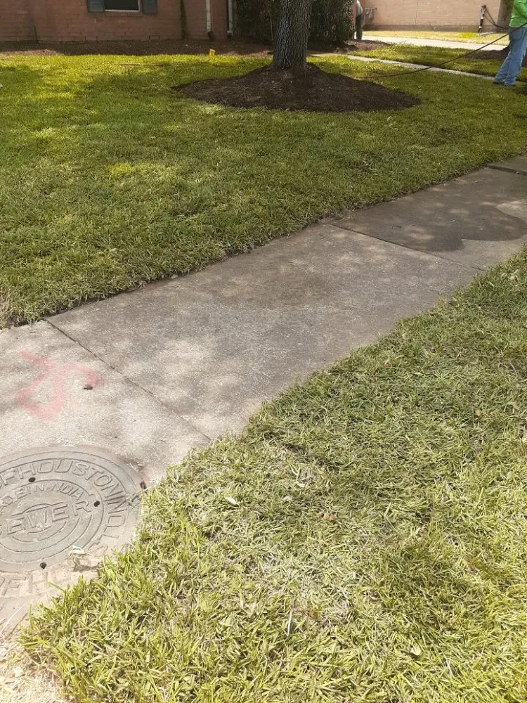 Professional garden landscaping for year-round maintenance across Katy, TX - AAA Landscaping & Tree Services