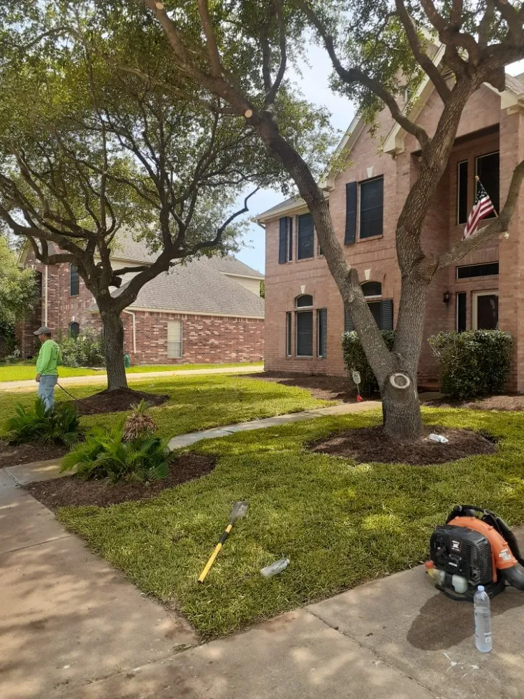 Top-rated lawn mowing service in Katy, TX - AAA Landscaping & Tree Services