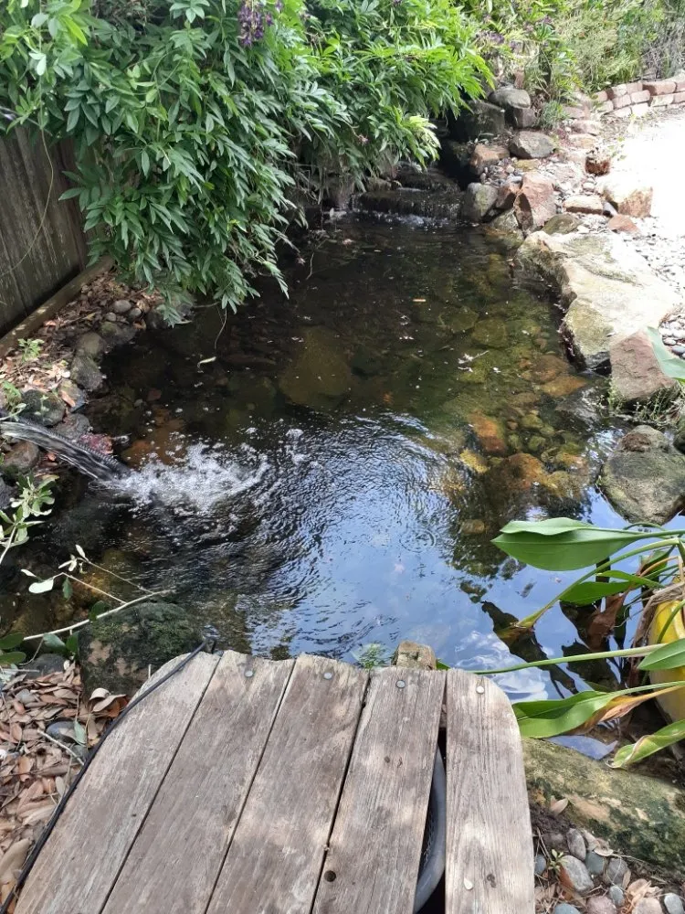 Reliable yard cleanup service for beautiful yards across Katy, TX - AAA Landscaping & Tree Services