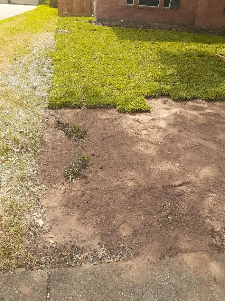 Expert outdoor landscaping in Katy, TX - AAA Landscaping & Tree Services