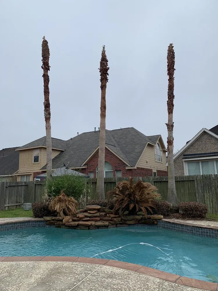 Trusted lawn mowing service in Katy, TX by AAA Landscaping & Tree Services