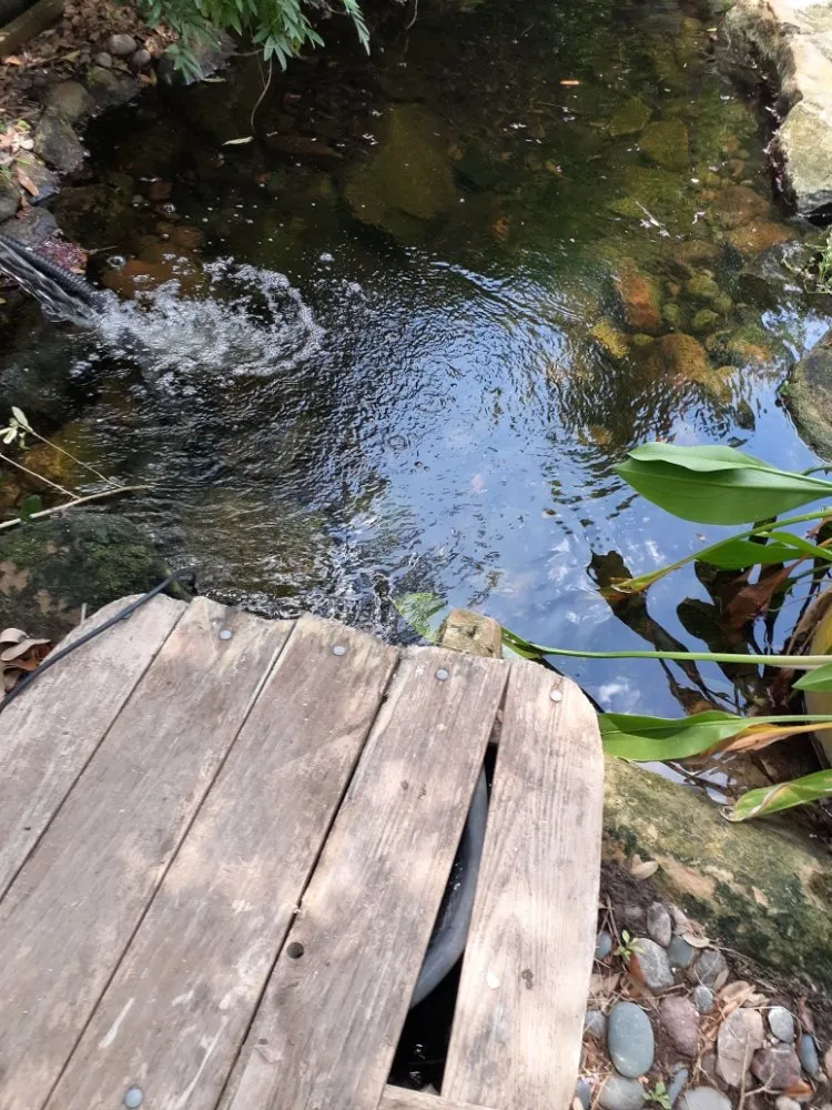 Custom landscaping services in Katy, TX - AAA Landscaping & Tree Services