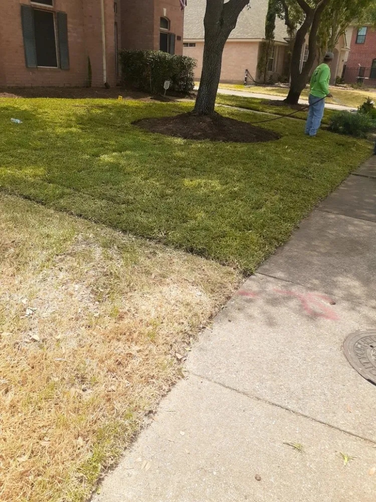 Trusted landscape design in Katy, TX by AAA Landscaping & Tree Services