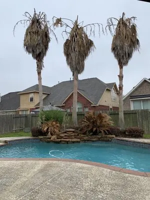 AAA Landscaping & Tree Services Logo