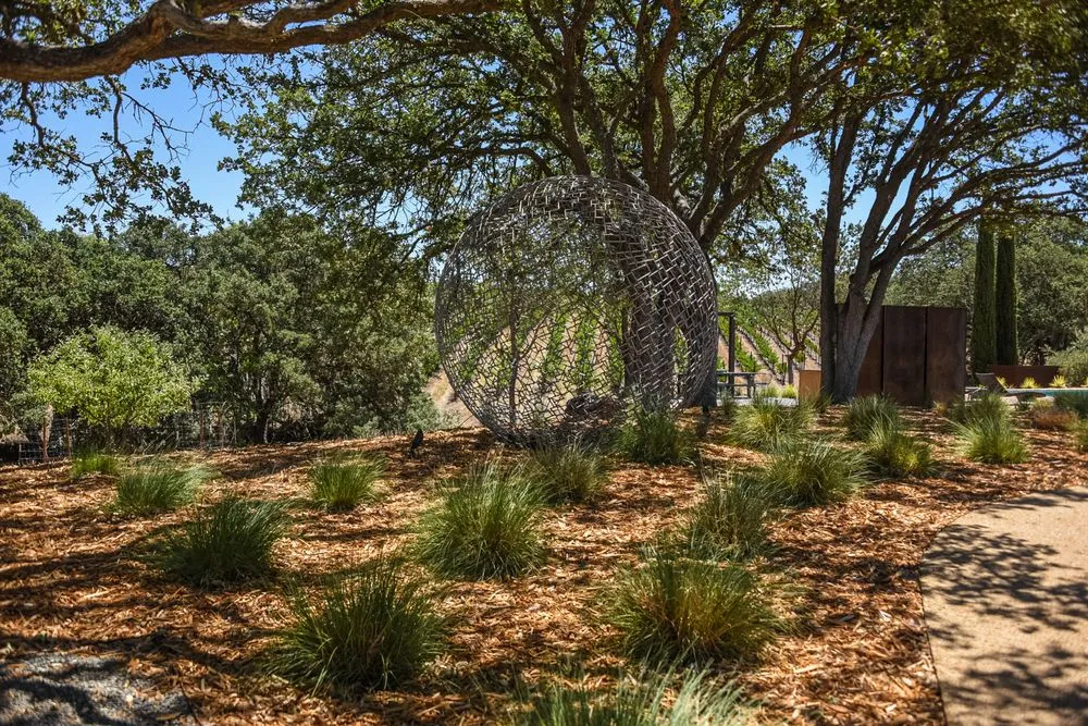 Top-rated yard cleanup service in Arroyo Grande, CA by AAA Landscaping