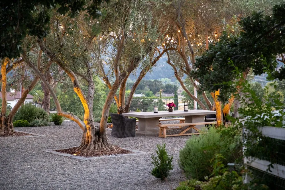 Expert lawn care service in Arroyo Grande, CA - AAA Landscaping