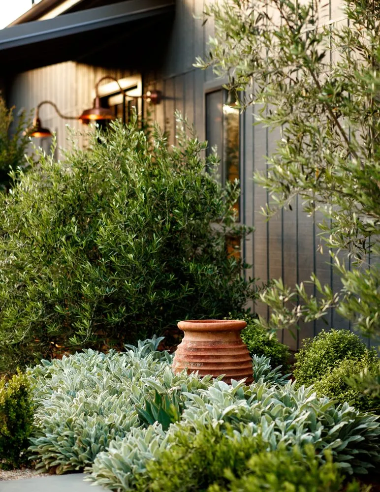 Reliable landscape design in Arroyo Grande, CA by AAA Landscaping