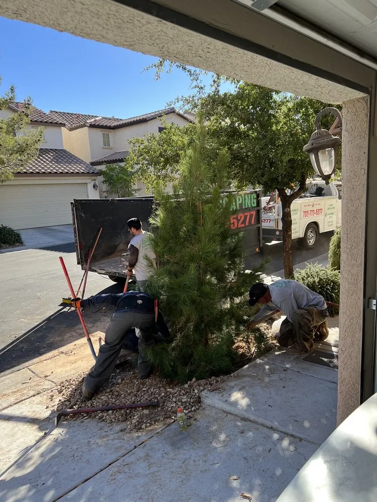 Local yard maintenance experts serving Henderson, NV - AAA Landscaping