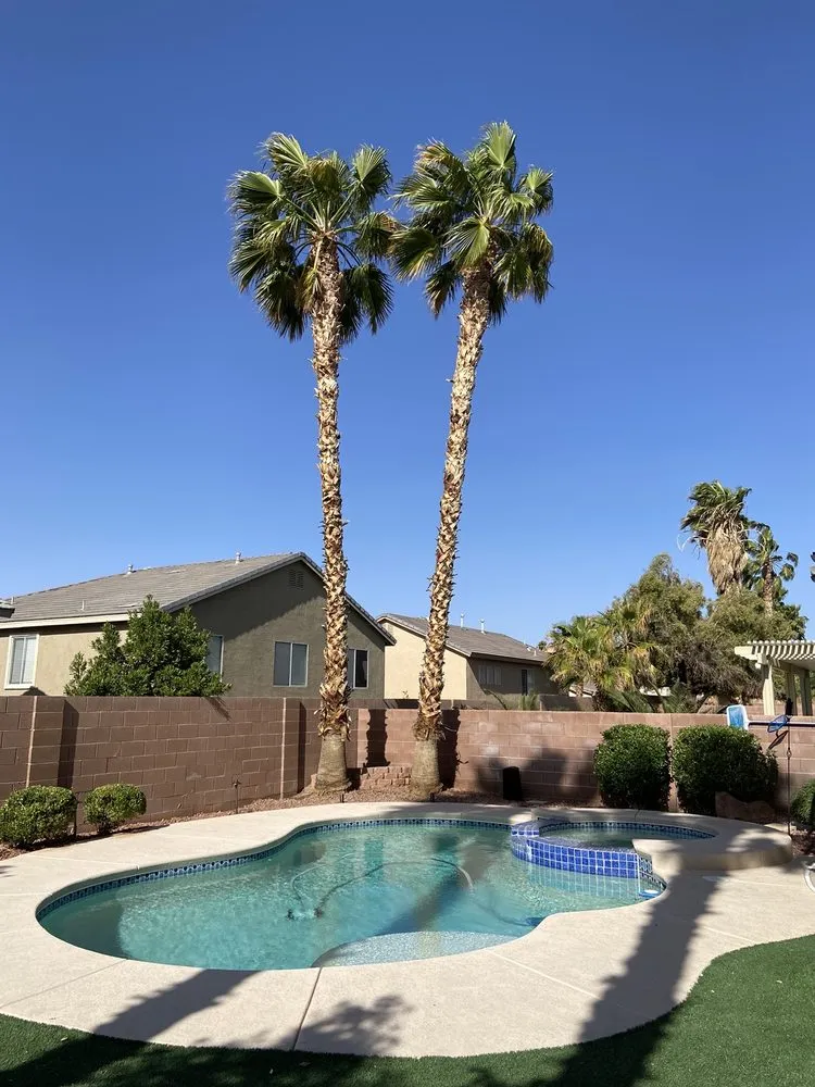 Reliable landscaping services in Henderson, NV by AAA Landscaping