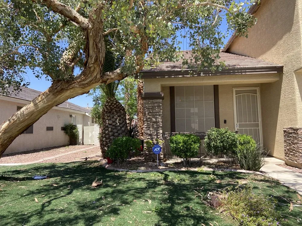 Top-rated yard maintenance in Henderson, NV - AAA Landscaping