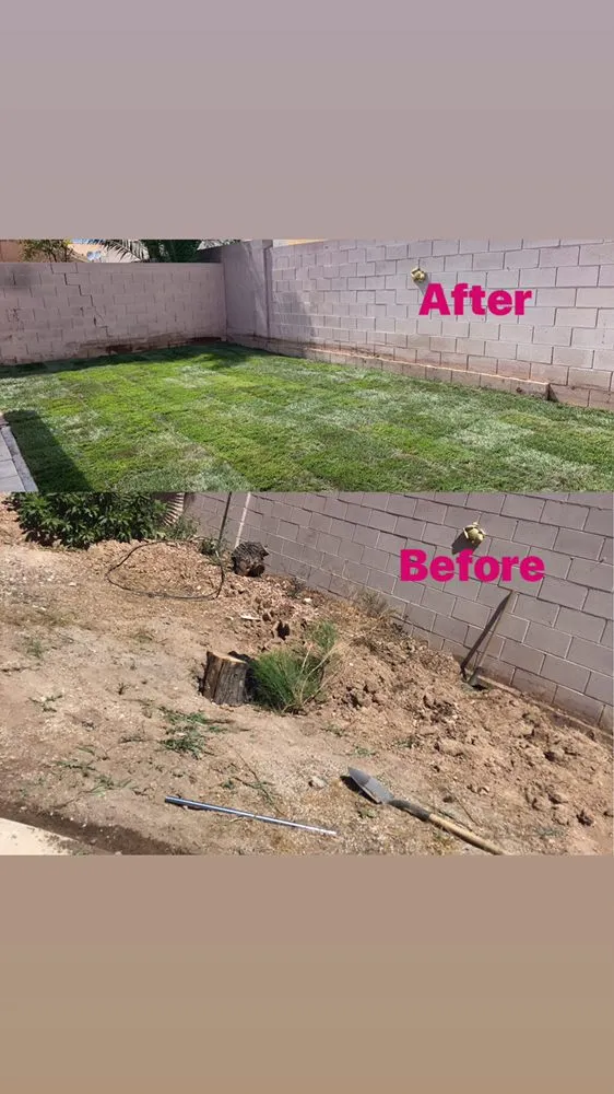Professional lawn mowing service in Henderson, NV - AAA Landscaping