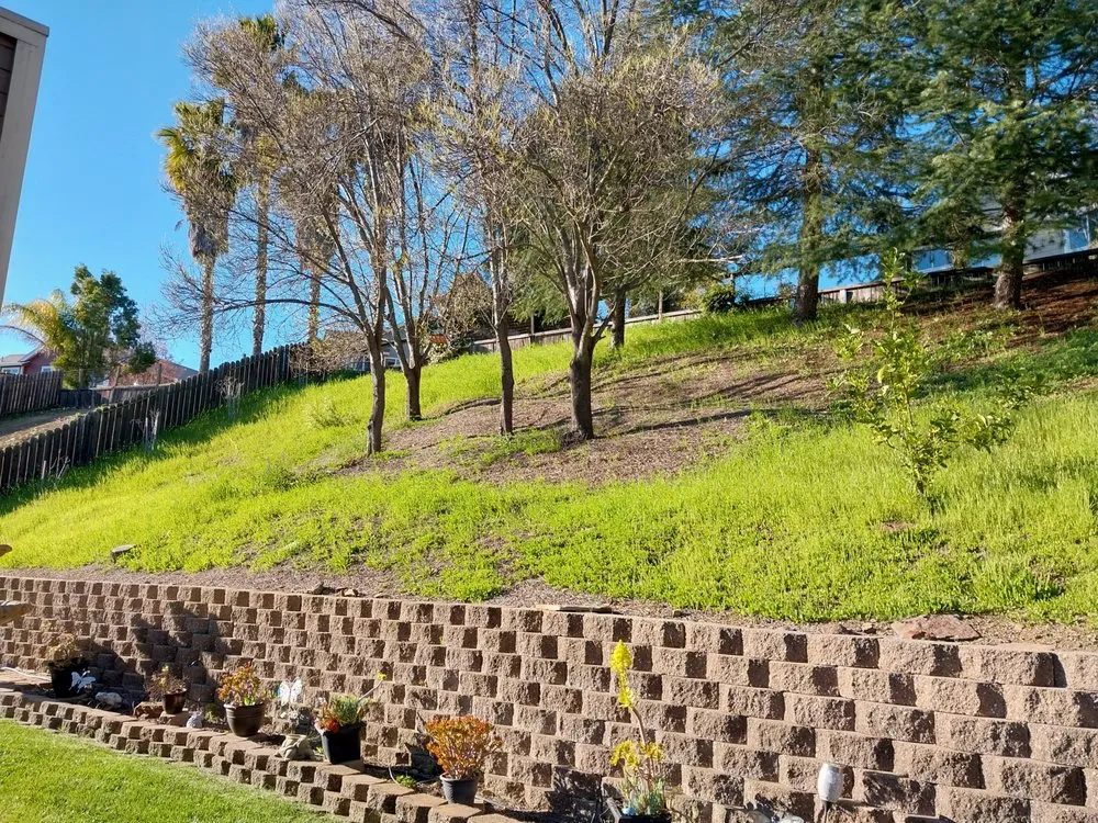 Custom garden landscaping in Fairfield, CA by AAA Landscaping Services