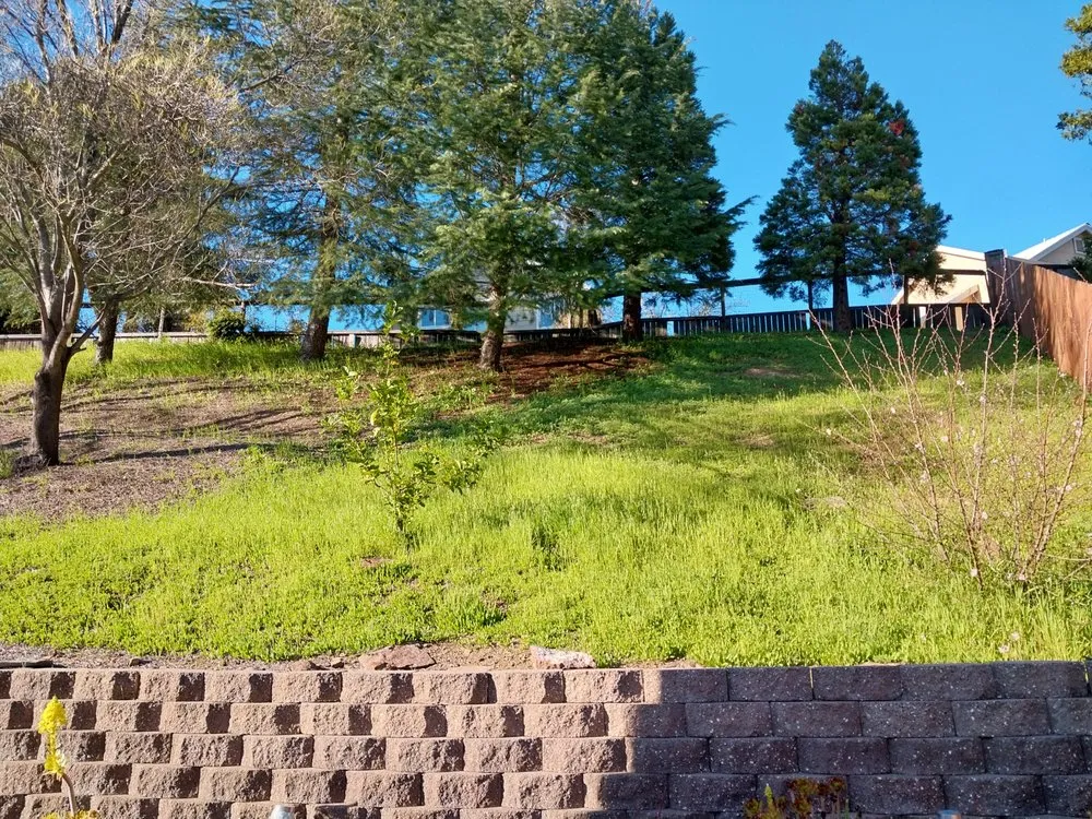 Local yard cleanup service in Fairfield, CA - AAA Landscaping Services