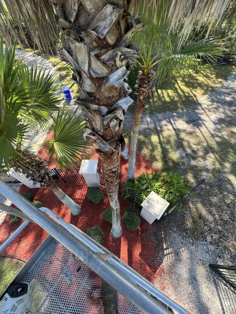 Trusted outdoor landscaping for outdoor upgrades across St. Augustine, FL - AAA Lawn Care & Landscaping