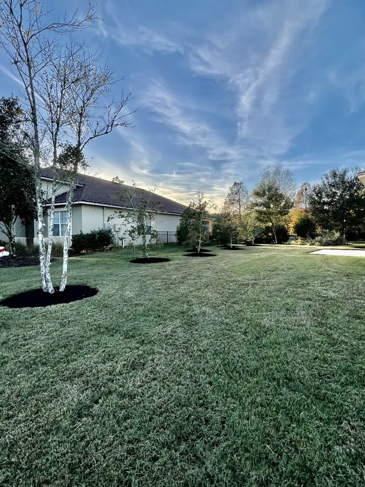 Reliable lawn mowing service for beautiful yards in St. Augustine, FL by AAA Lawn Care & Landscaping
