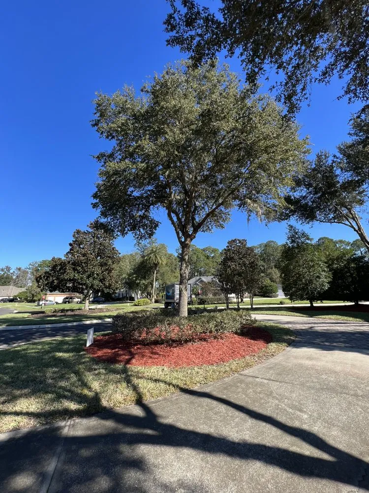 Affordable landscape design with custom design in St. Augustine, FL by AAA Lawn Care & Landscaping