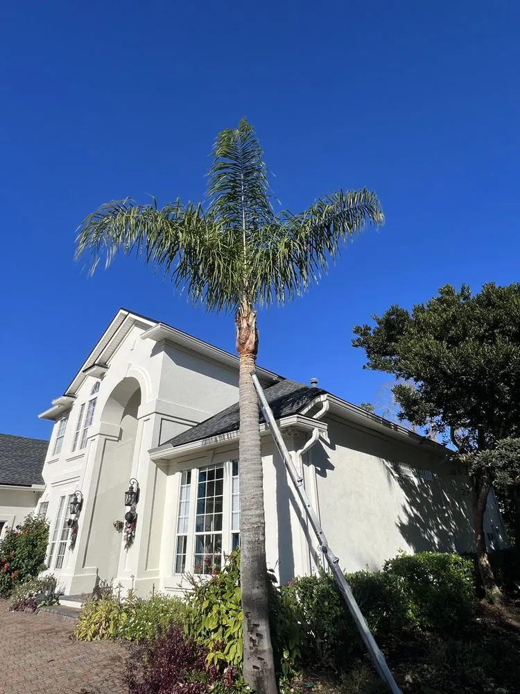 Affordable lawn mowing service in St. Augustine, FL - AAA Lawn Care & Landscaping