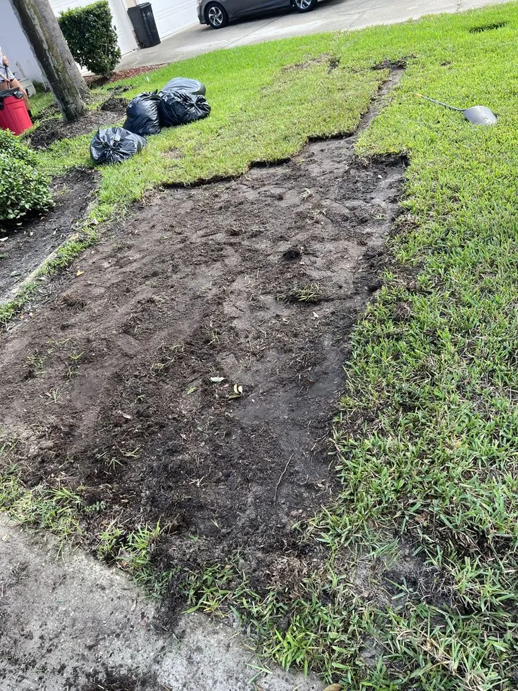 Affordable residential landscaping experts serving St. Augustine, FL - AAA Lawn Care & Landscaping