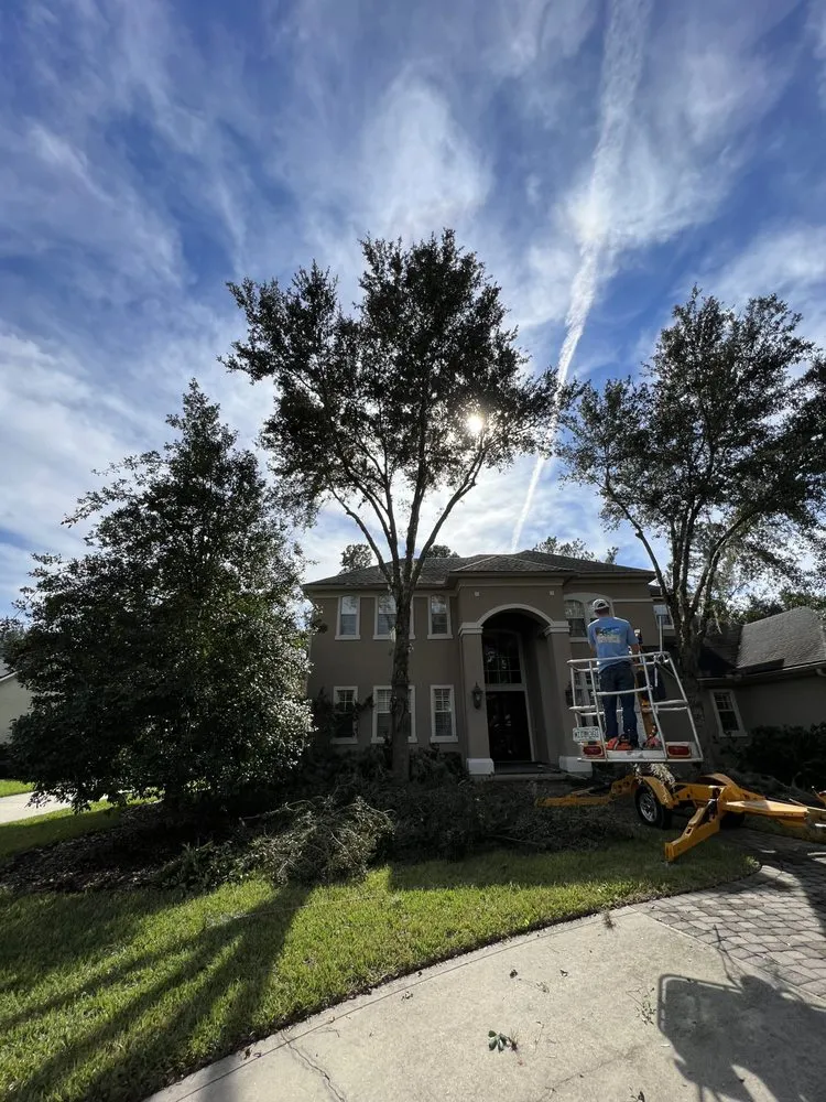 Custom lawn mowing service with custom design across St. Augustine, FL - AAA Lawn Care & Landscaping