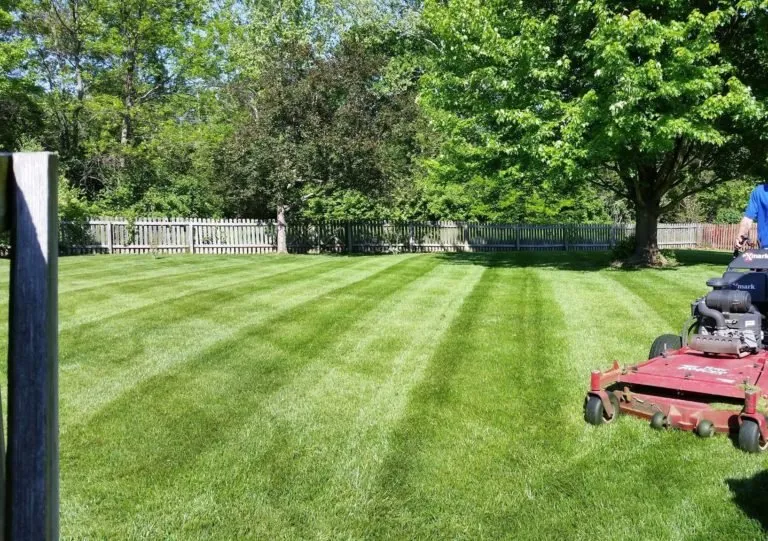 Local lawn mowing service near you across Neenah, WI - AAA Lawn Care & Services
