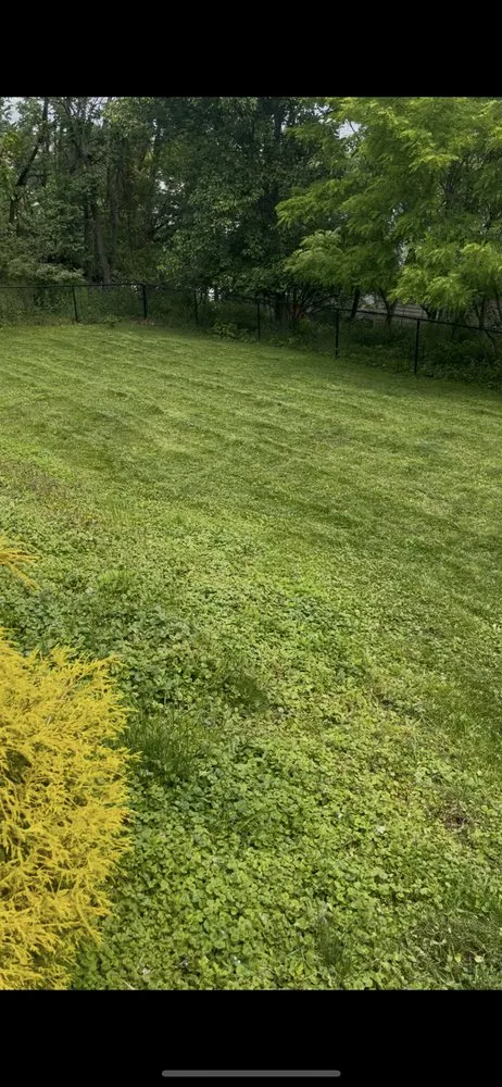 Reliable lawn mowing service for outdoor upgrades in Allison Park, PA by AAA Lawn Care