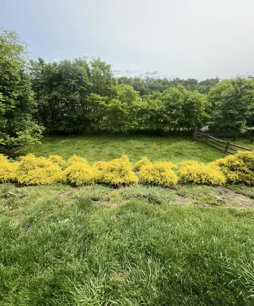 Affordable residential landscaping for outdoor upgrades across Allison Park, PA - AAA Lawn Care