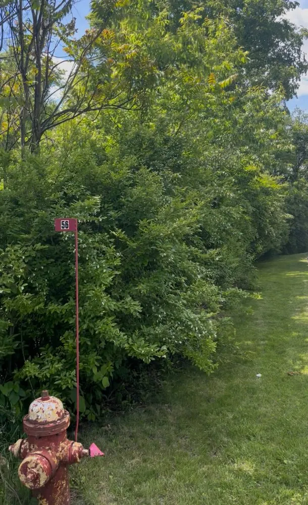 Top-rated yard maintenance experts serving Allison Park, PA - AAA Lawn Care