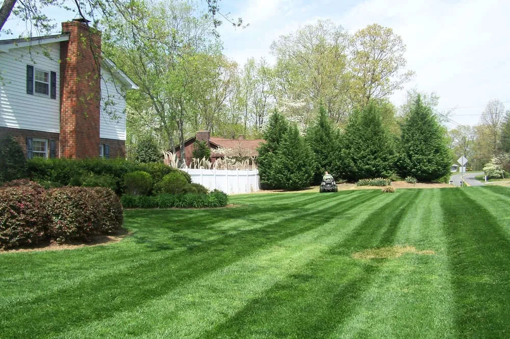 Affordable yard cleanup service in Dalton, GA by Aaa Lawn Care
