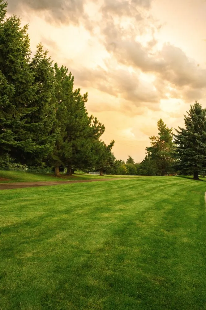 Top-rated yard cleanup service in Kalispell, MT - AAA Lawn Care