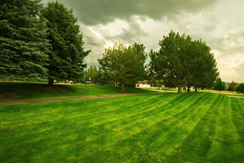 Expert landscape design in Kalispell, MT by AAA Lawn Care